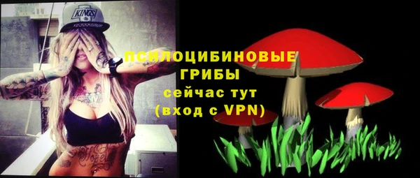 синтетический гашиш Переславль-Залесский