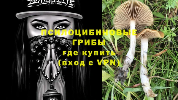 крисы Покачи