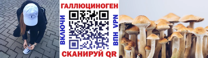 Галлюциногенные грибы мицелий  где можно купить наркотик  Княгинино 